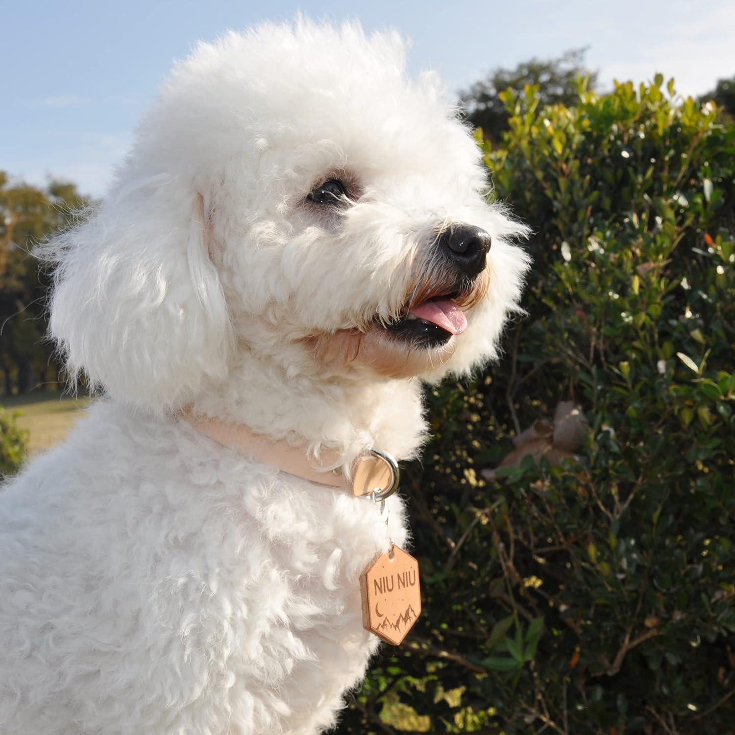 image:imageLeather Dog Tag The Id Of The Dog Tag Personalized Dog Tag The Identification Tag Leather Tag Collar The Pet Name Tag Engraved Dog TagLeather Cat Tag