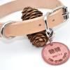 Minimalist Personalized Leather Dog Collar, Engraved Dog Collar, Puppy Collar, Custom Dog Collar With Name Tag, Leather Dog Collar With Rivets