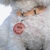 Minimalist Personalized Leather Dog Collar, Engraved Dog Collar, Puppy Collar, Custom Dog Collar With Name Tag, Leather Dog Collar With Rivets
